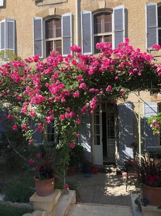 B&B Coup de Coeur