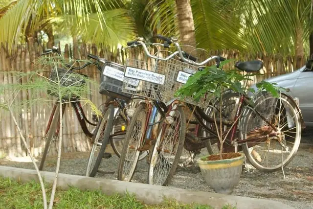Kite Paradise Hostel-Kalpitiya