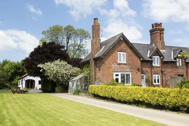 Brush and Boot B&B
