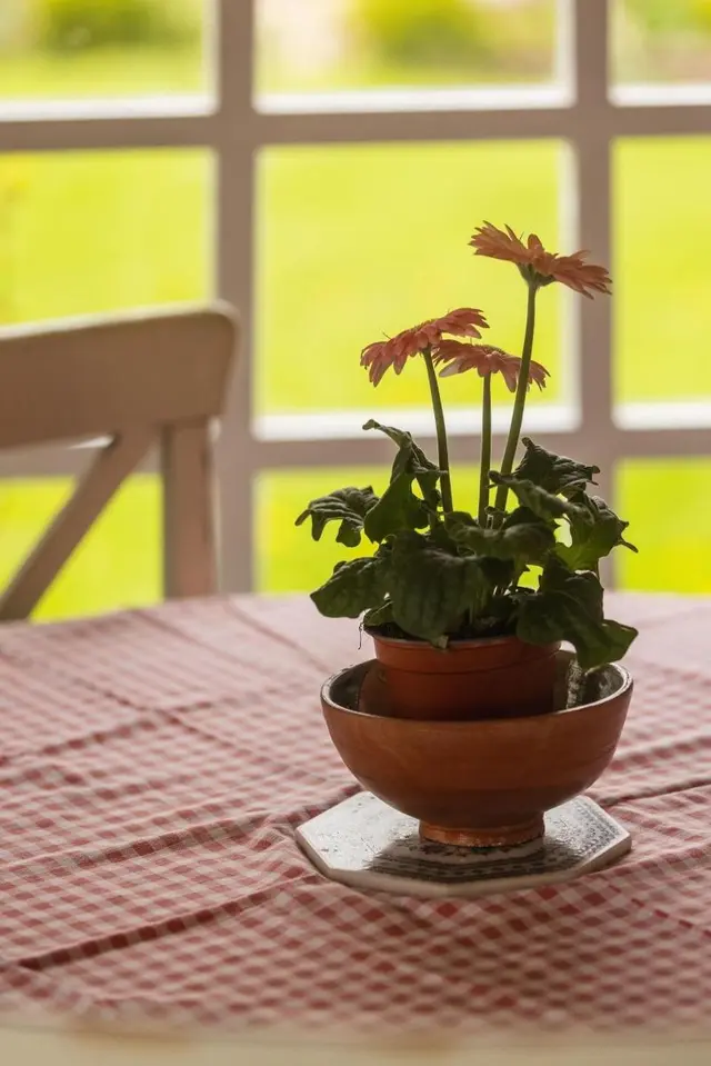 Mulsford Cottage Bed & Breakfast