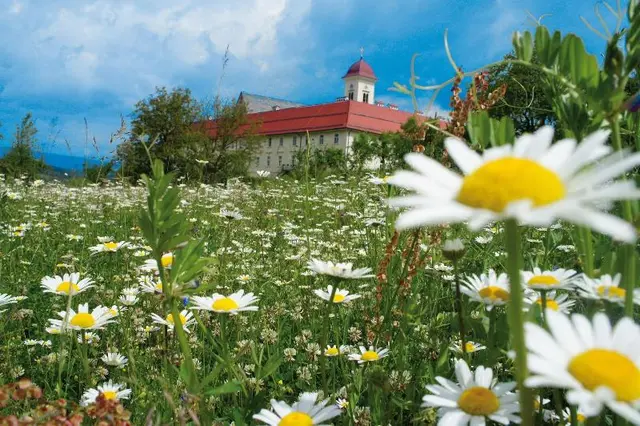 Stift St. Georgen