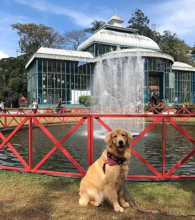 Pousada Dom Petrópolis