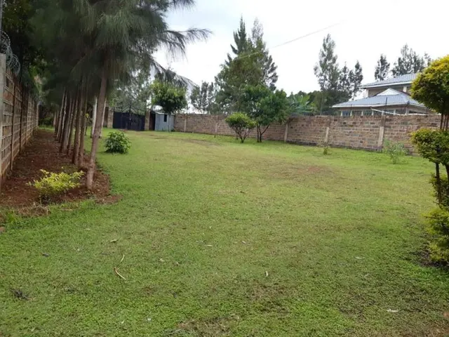 Intelbliss Resorts
