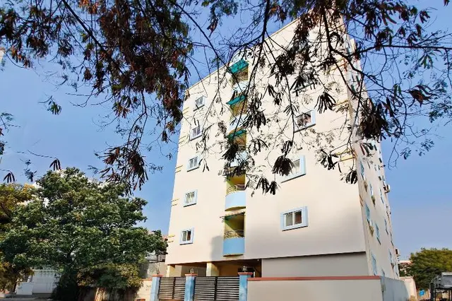 30151 Golden Hive
