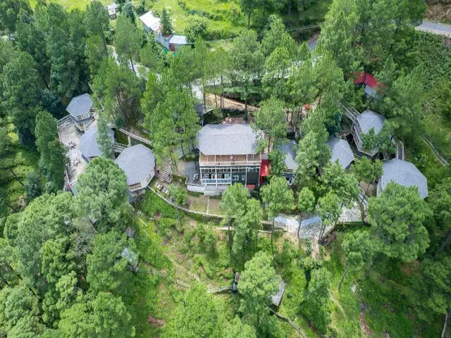 The Woods Retreat