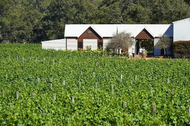 Vineyard Cottage At Upper Reach Winery