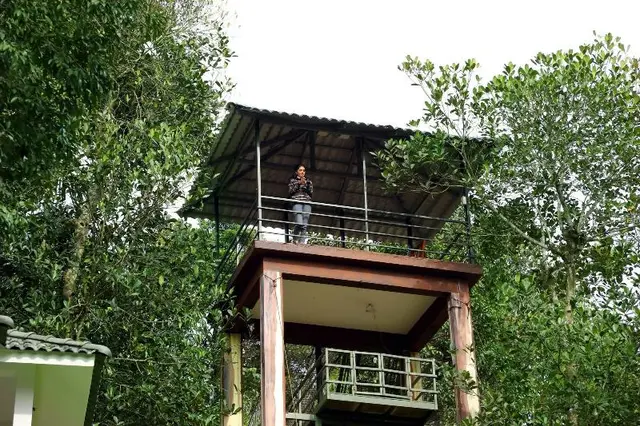 Wayanad Ranches Resorts