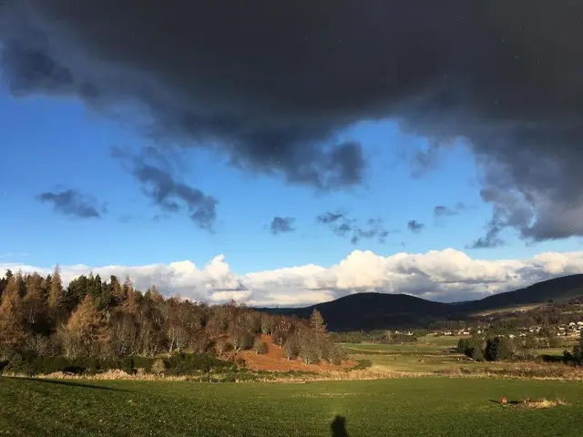 Hillside Havens