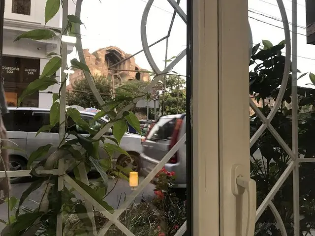 Old Vino House