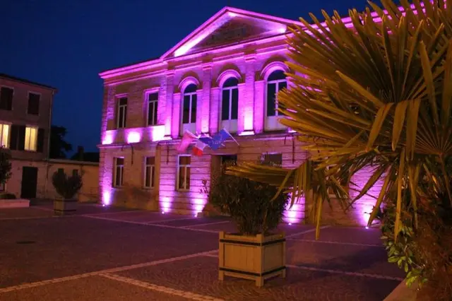 Le Vic De Lomagne