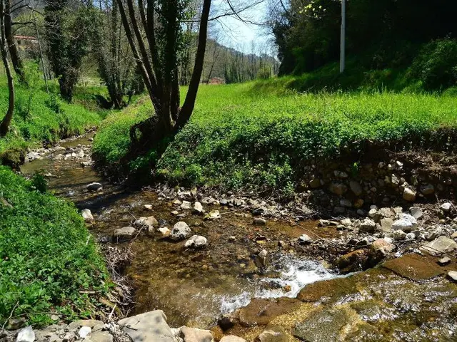 Dreamy Cottage In Trebbio With Swimming Pool