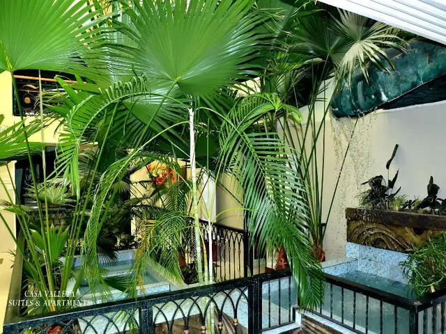 Casa Valleta Guest House Apartments