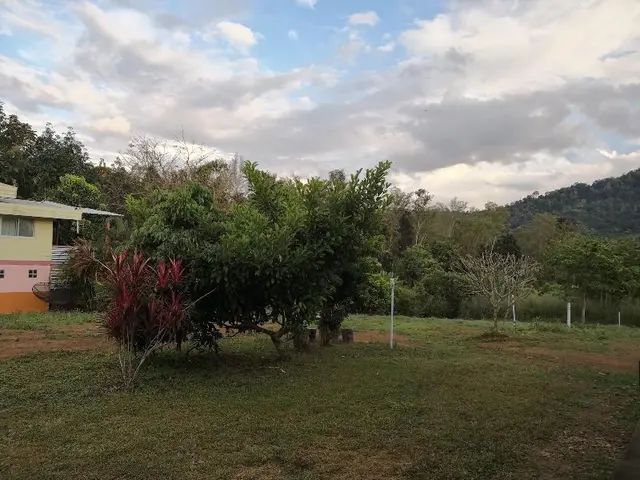 Phulomnum Resort