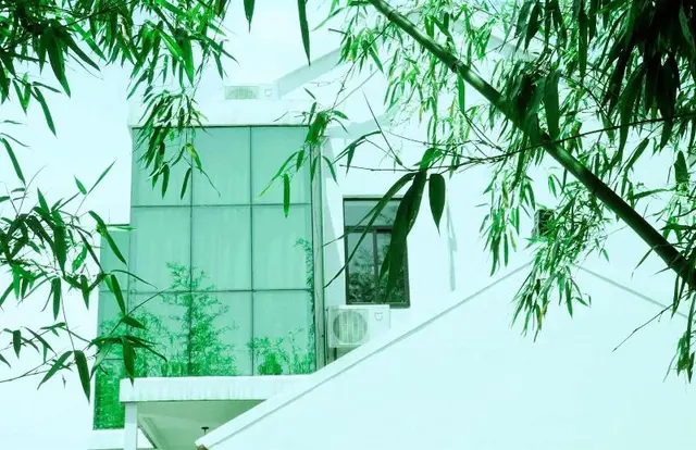 Csdy Guesthouse