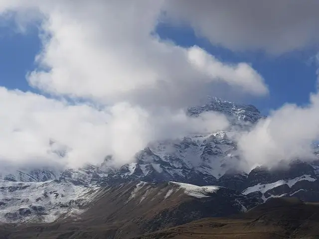 Hotel D Meadows Ladakh