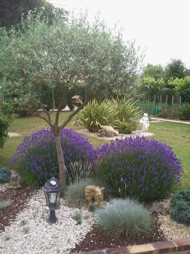 Eglantine Et Cha Vrefeuille