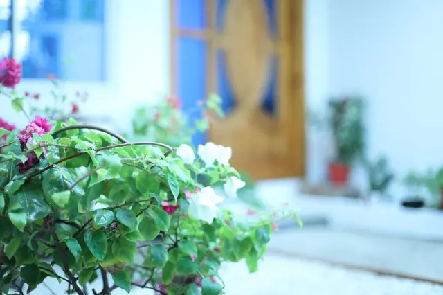 Moodhu Surf House