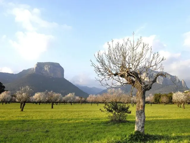 Alara Natura Rural Suites