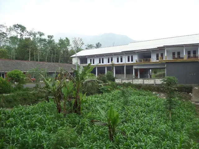 Nadia Hotel