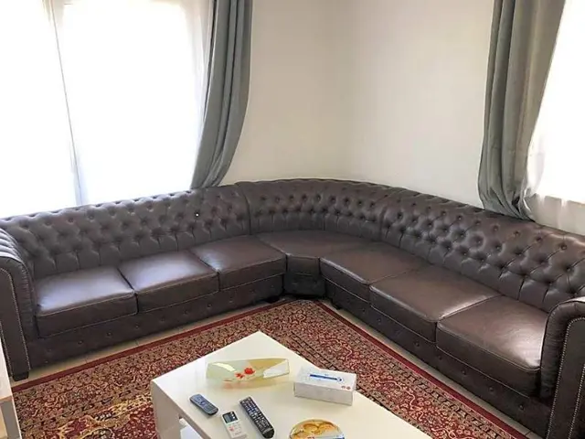 Sahara Falcon