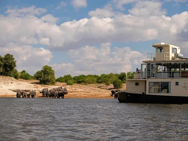 Chobe Princesses by Mantis