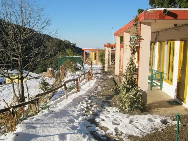 Janardan Resort Pangot