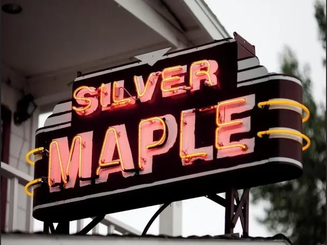 Silver Maple Inn And The Cain House