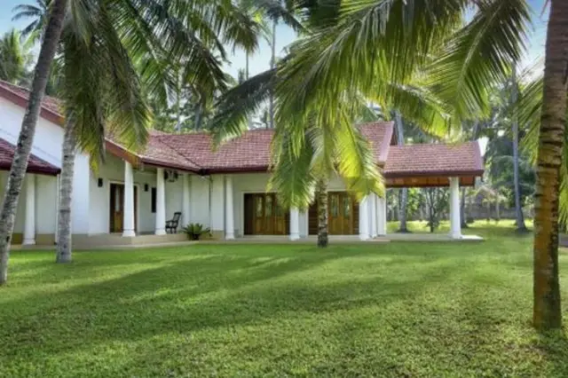 Coco Villa Peach Tree