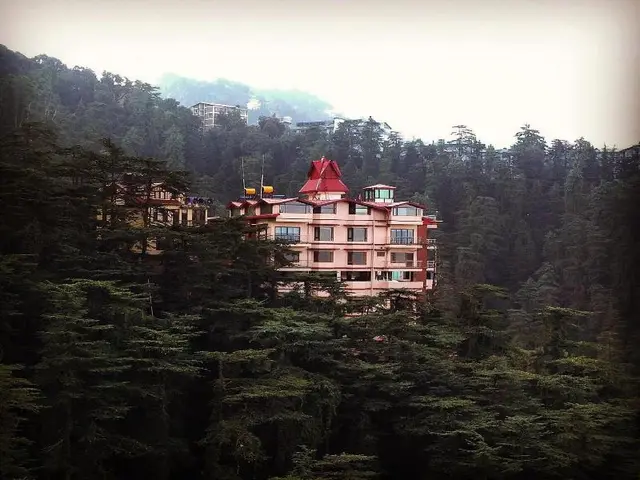 The Bodhi Tree Bnb