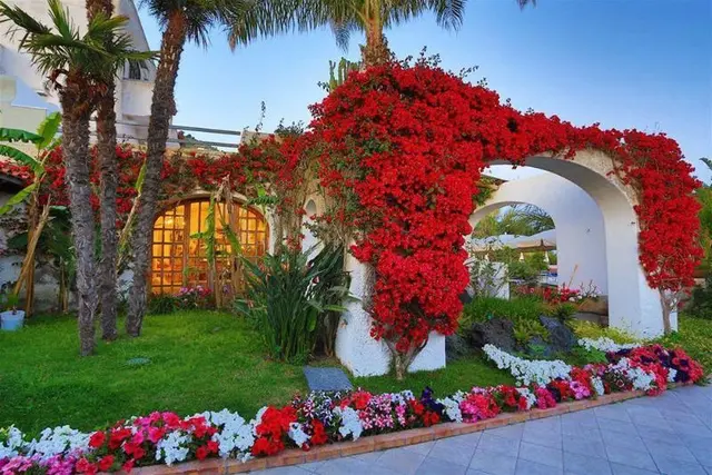 B&B HOTEL - ISCHIA San Nicola