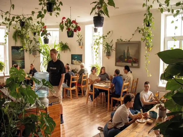 Cinnamon Sally Backpackers Hostel