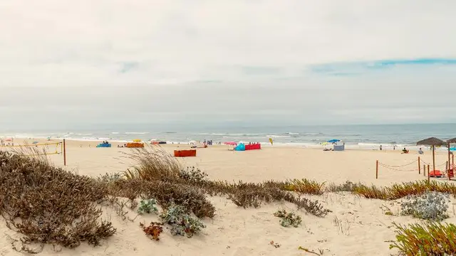 Shellter Apartments By The Sea