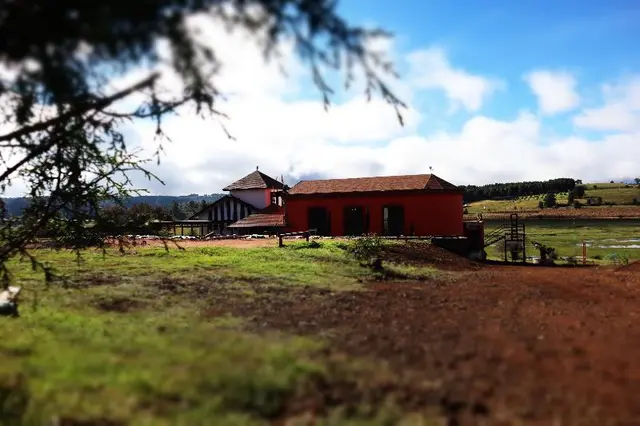 Masia Arameni