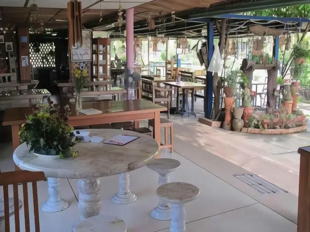 Orchid Hibiscus Guest House