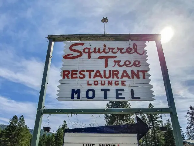 Squirrel Tree Resort