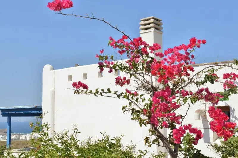 Paradisia Villas