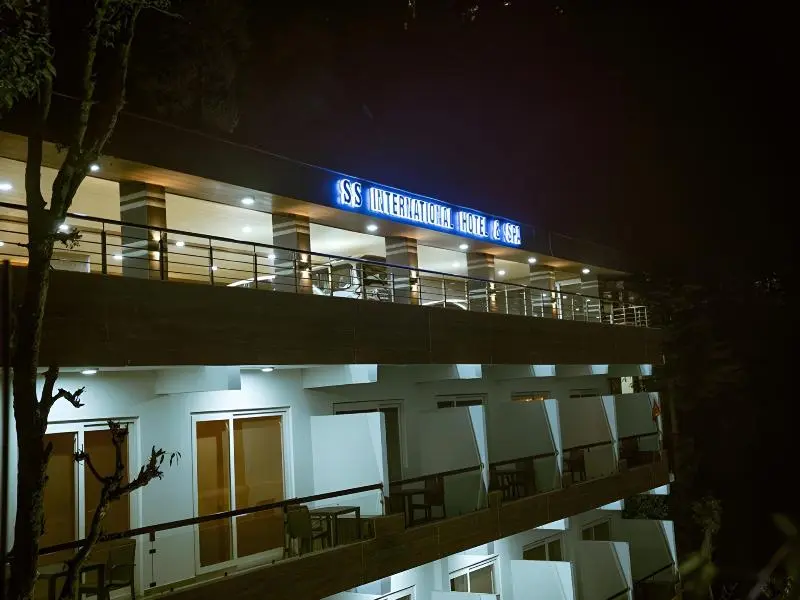 Ss International