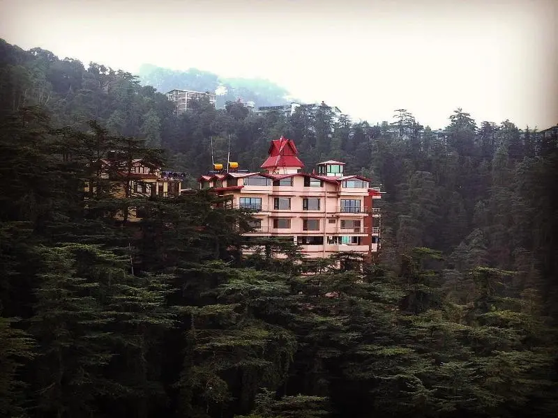 The Bodhi Tree Bnb